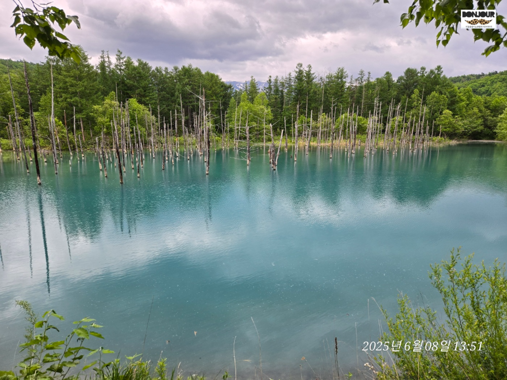 홋카이도 비에이 청의호수 코발트블루 물빛 첫인상 갤럭시 제트플립6 촬영