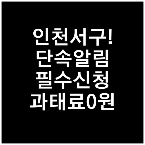 인천 서구 주정차 단속 알림 서비스 ..