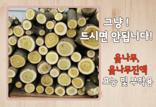 옻나무 9가지 효능 및 부작용과 옻나무 진액 먹는 방법