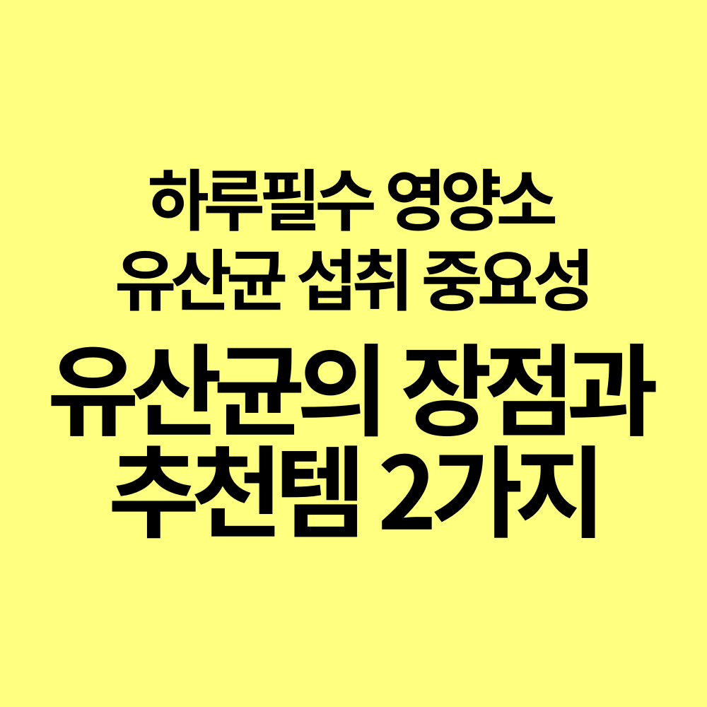 유산균 장점 추천템