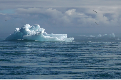 대한민국 이상기후, 우리 일상에 다가온 경고의 신호