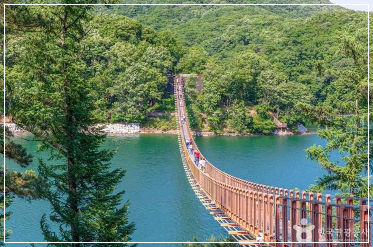 파주 가볼만한곳 베스트10 마장호수 출렁다리