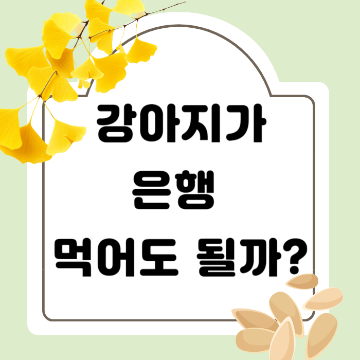 반려견이 은행을 먹어도 되나요? 가을 산책 주의