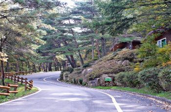 상주 성주봉 자연휴양림_1