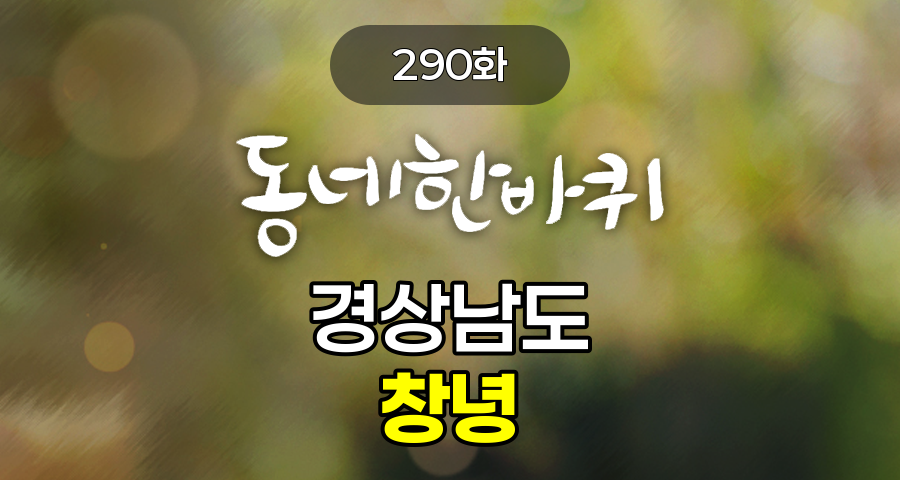 KBS 동네한바퀴 경상남도 창녕 290화 2024년 10월 12일 맛집 식당 업체 촬영장소 촬영지 정보, 살아 숨 쉬는 국내 최대 자연 습지 우포늪, 99세 어머니의 사랑으로 그려내는 아주 특별한 작품, 여전히 뜨거운 추억, 부곡 온천의 산증인, ‘마음의 눈’으로 가꾸는 무궁화 정원, 지금은~ 송이시대! 가을 첫 화왕산 송이버섯을 만나다, 창녕의 1호 명승, 남지개비리, 남편의 유산, 비법 소스와 함께 즐기는 낙동강 옆 민물회 한 상