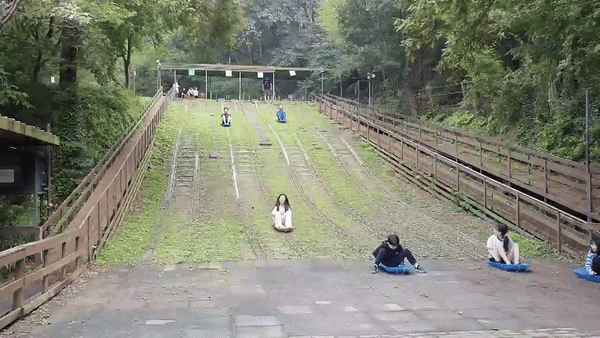 반달곰이살던숲