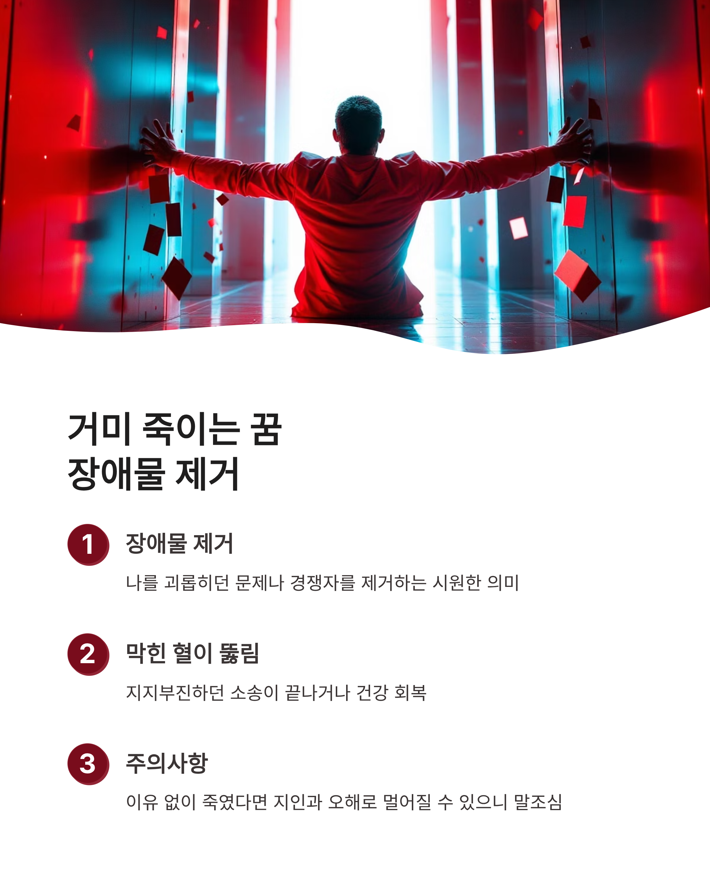 거미꿈 해몽 왕거미 흰거미 거미줄 상황별 완벽 풀이: 재물운과 태몽의 비밀