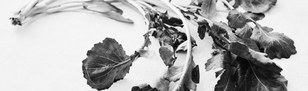 루꼴라 키우기, 루꼴라 효능