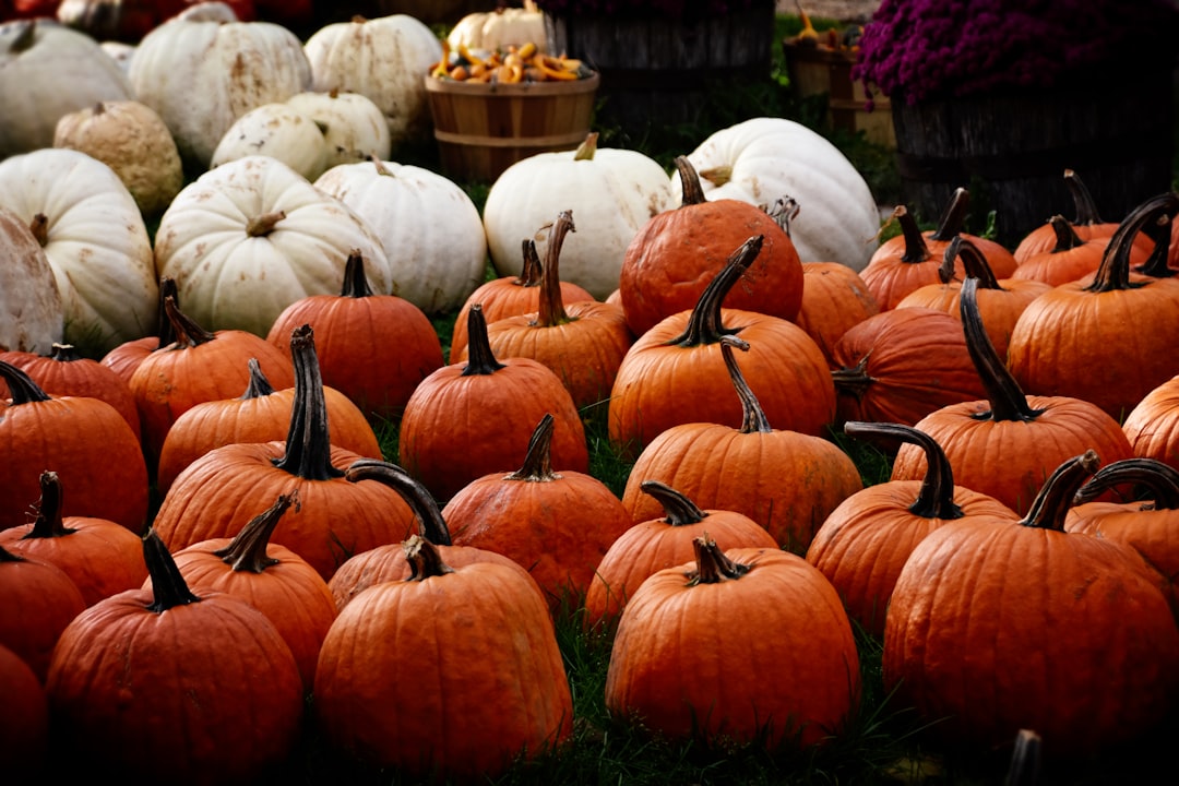Autumn.