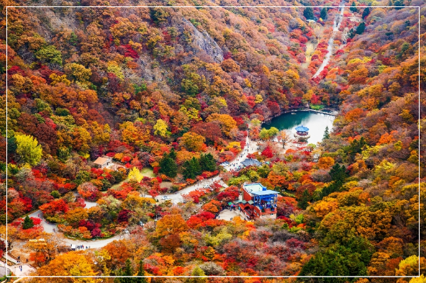 내장산 우화정 이미지 / 출처: 대한민국 구석구석