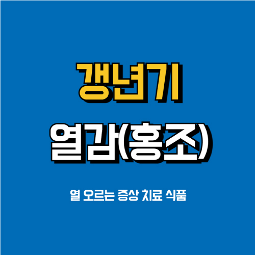 갱년기-열-오르는증상-치료식품