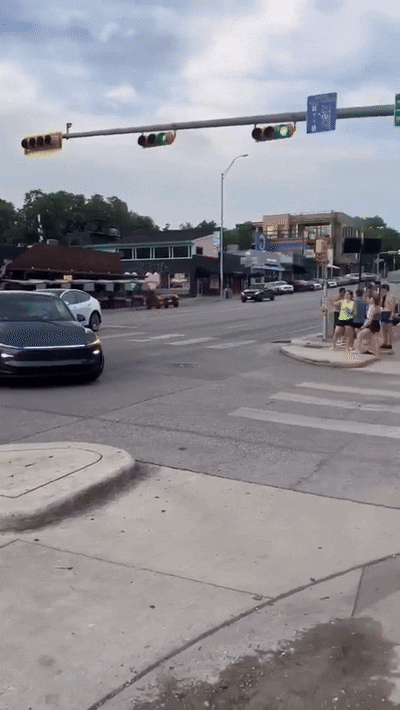 일론 머스크가 10일 공개한 테슬라 로보택시 주행 영상