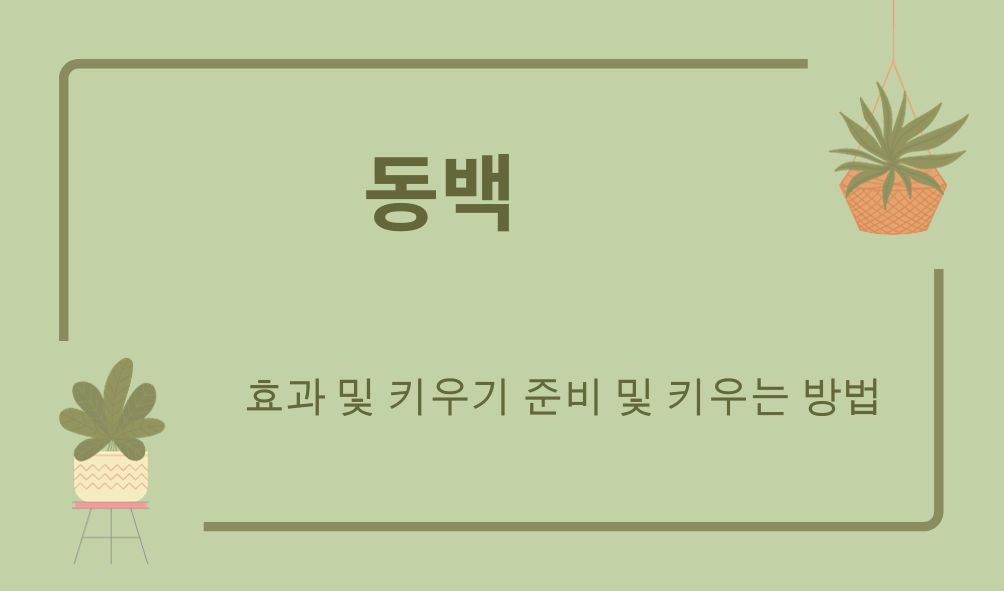 동백