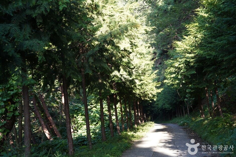고령 가볼만한곳 베스트 10