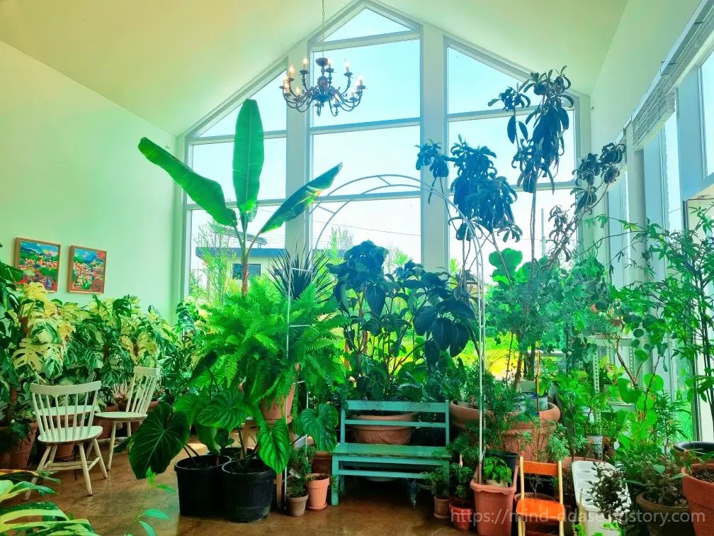 인천 카페 추천, 강화 메타포레스트: 숲 속 캠핑 감성, 가는 길 주의사항, 주차장