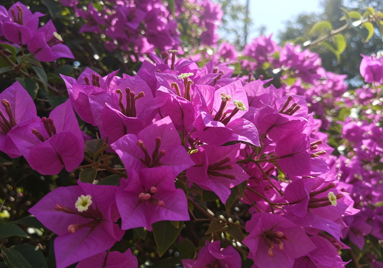 MBTI별 감정의 대처 방법