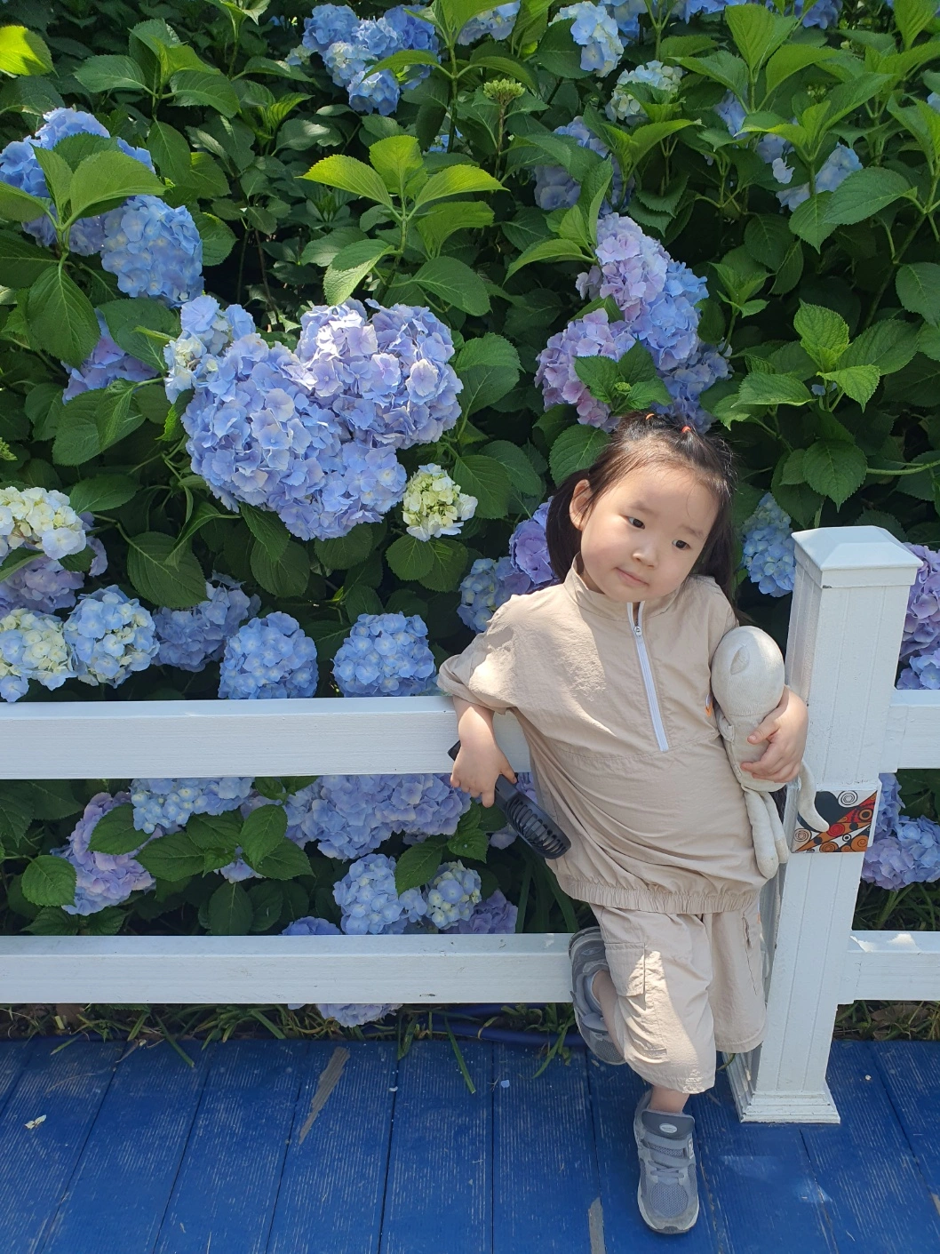 장생포 수국축제에서 여름을 만끽하다! 울산 고래문화마을 수국 명소 추천