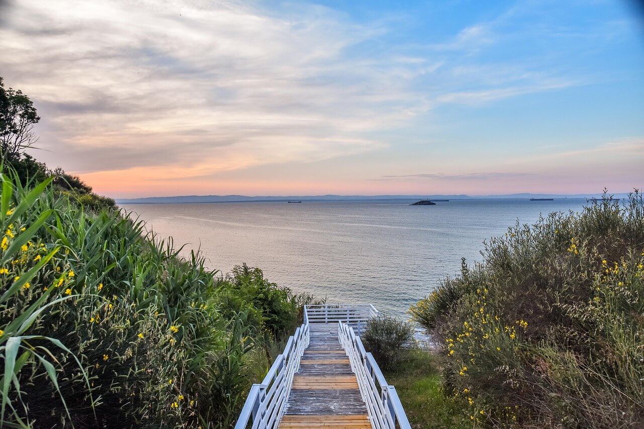 산림자원관리사 1급 자격증, 중장년층이 도전하기 좋은 이유는?