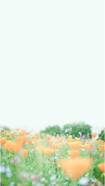 휴대폰 화면이 흑백으로 나올때 해결 방법 정리본_17