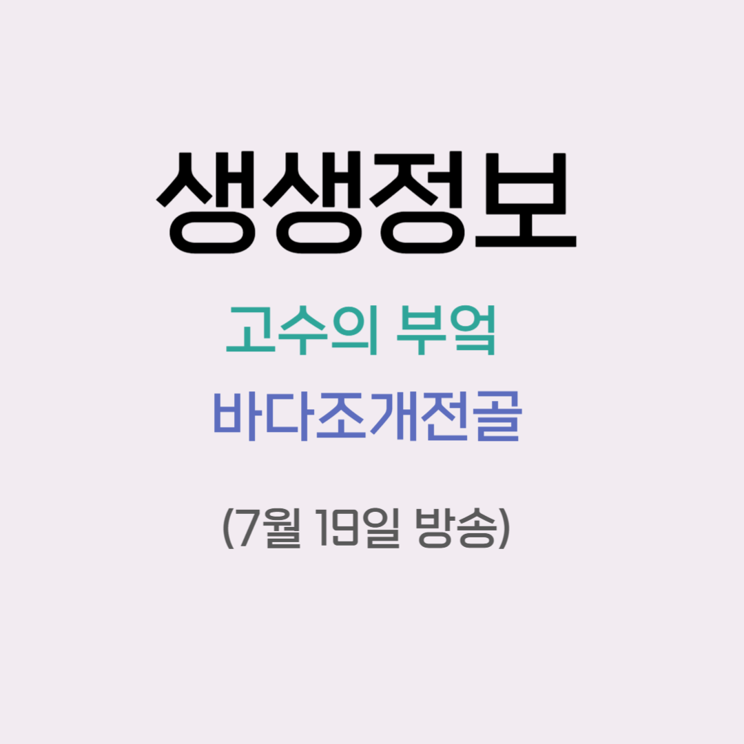 생생정보 고수의 부엌 바다조개전골