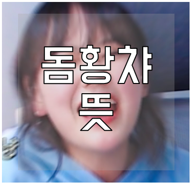 돔황챠-뜻