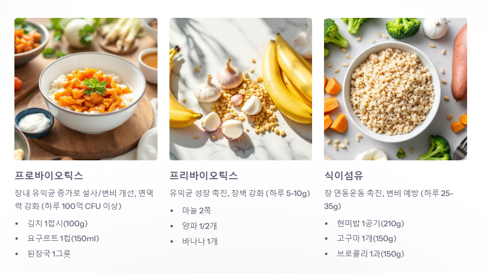 장 건강을 위한 필수 영양소 효과