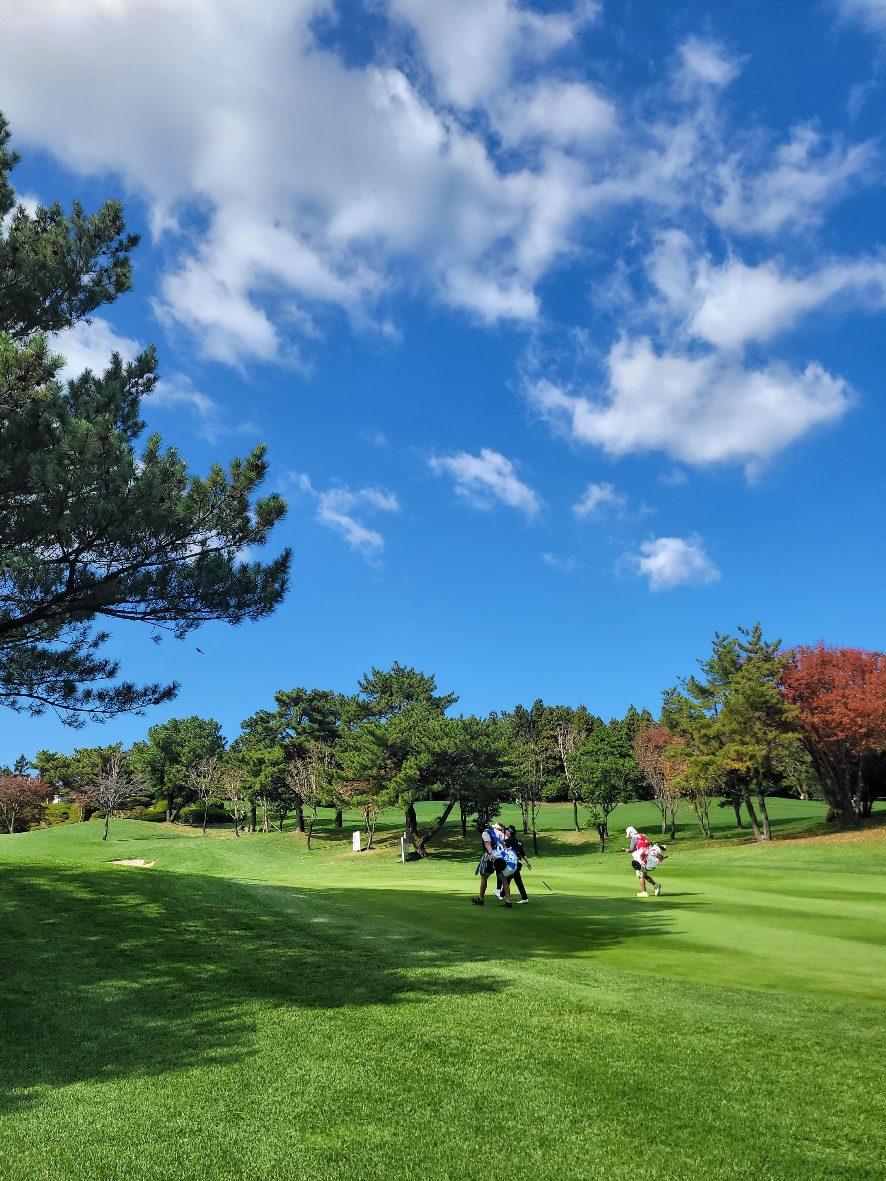 핀크스-klpga-대회4