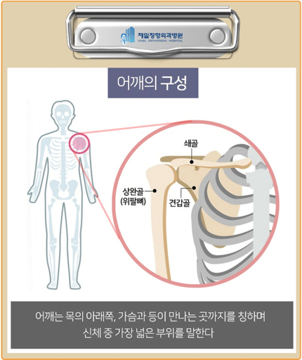 관절경수술 후 물리치료 운동 가이드