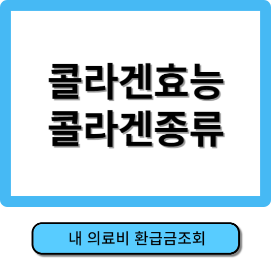 콜라겐의 효능