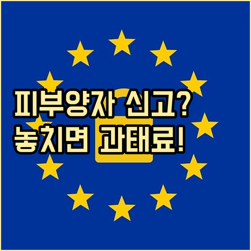 피부양자 자격 상실 14일 신고 미이..