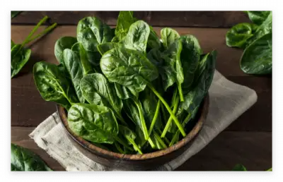 세계 10대 슈퍼푸드 종류와 효능