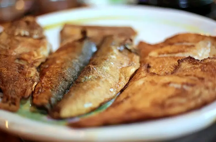 투데이 맛있는 메뉴 밥이보약 건강밥상 시원한 동태탕과 생선구이 맛있는 식당 추천 부산 사상구 주례역 맛집
