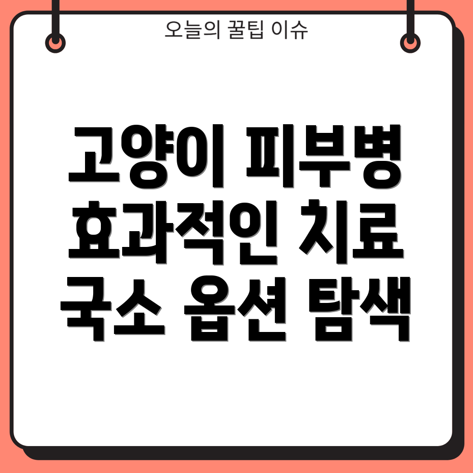 고양이 피부병