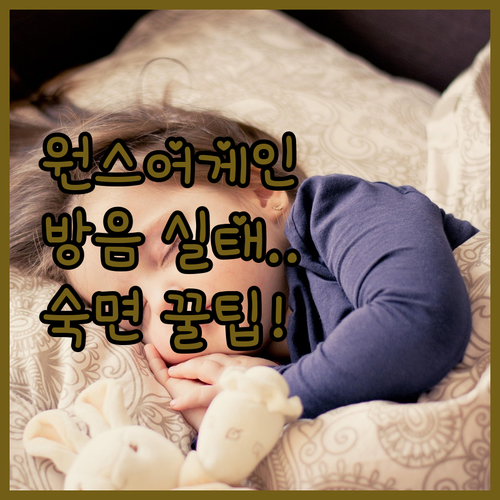 치앙마이 우디 원스어게인하우스 방음 ..