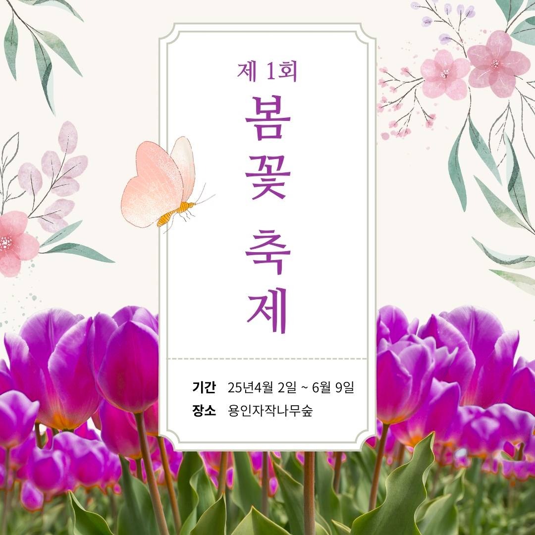 용인 자작나무숲 봄꽃축제