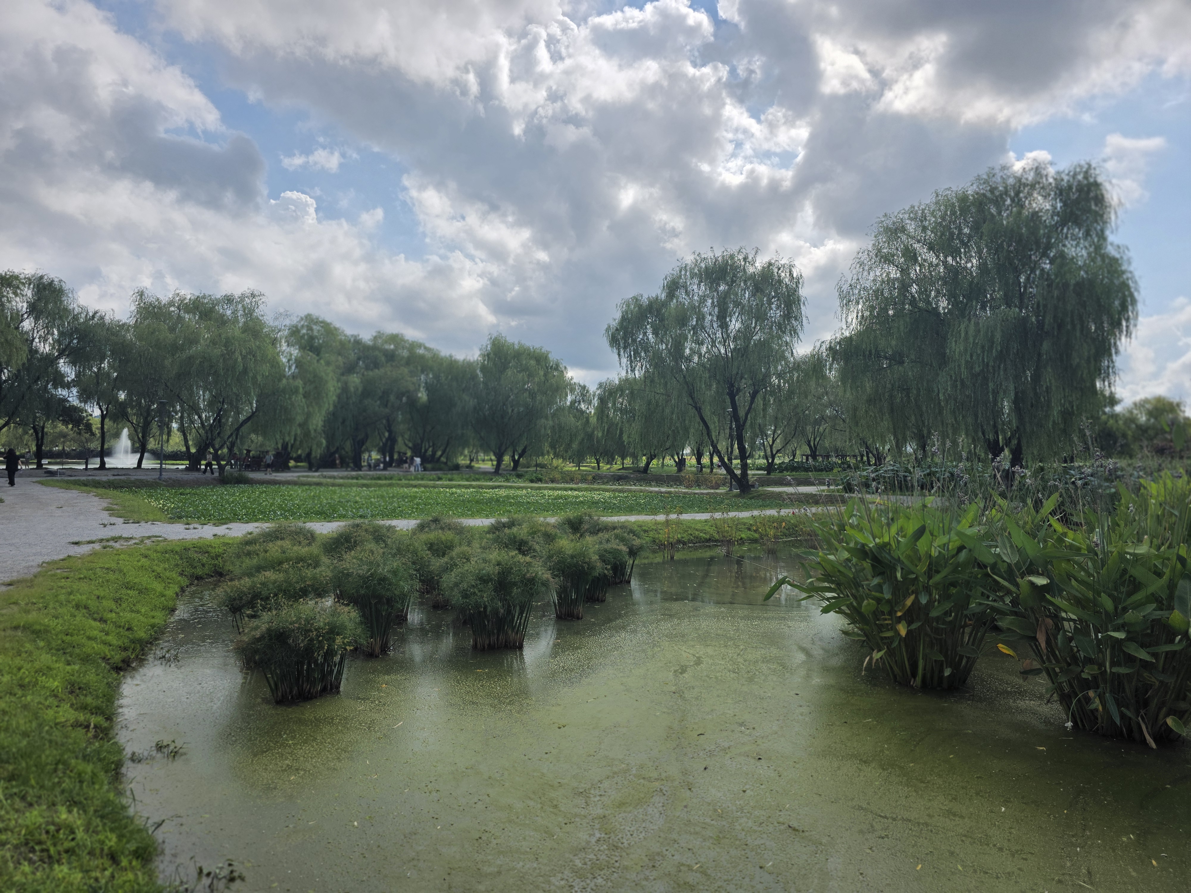 부여 궁남지 주차 운영시간 입장료 연꽃축제 서동요 백제 선화공주 07