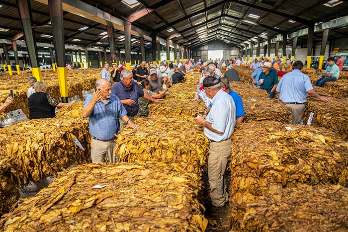 경매사 국가전문자격증 썸네일