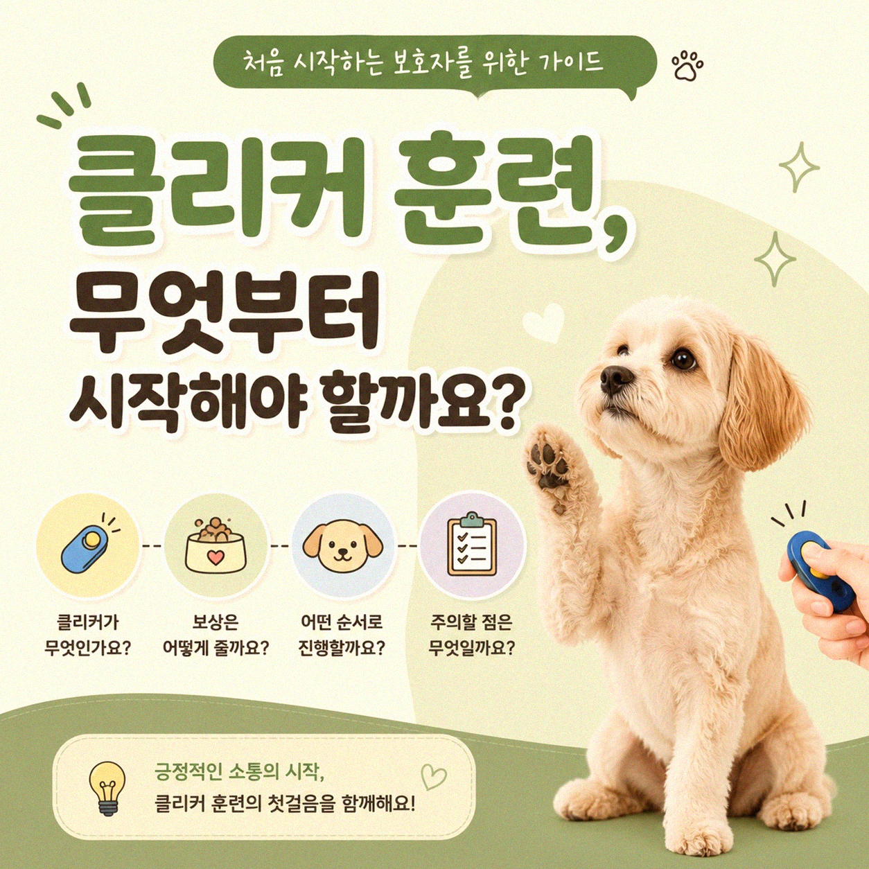 고양이 클리커 훈련 어떻게 시작할까