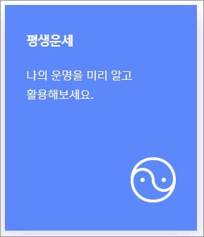 평생운세