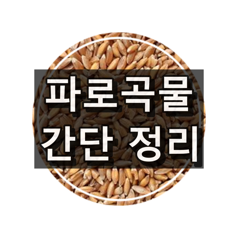 파로곡물 쉬운 정리