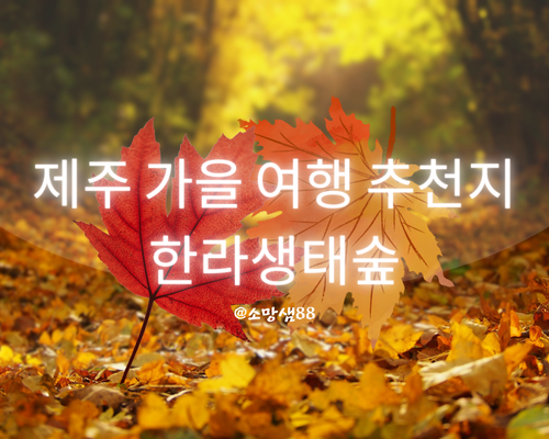 제주 가을 여행 추천지 한라생태숲