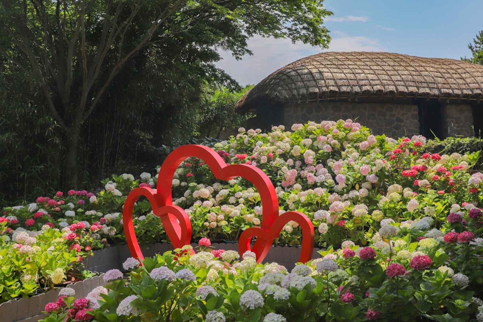 제주민속촌 수국축제