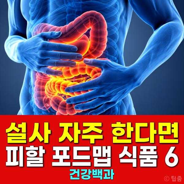포드맵 식품 종류 설사