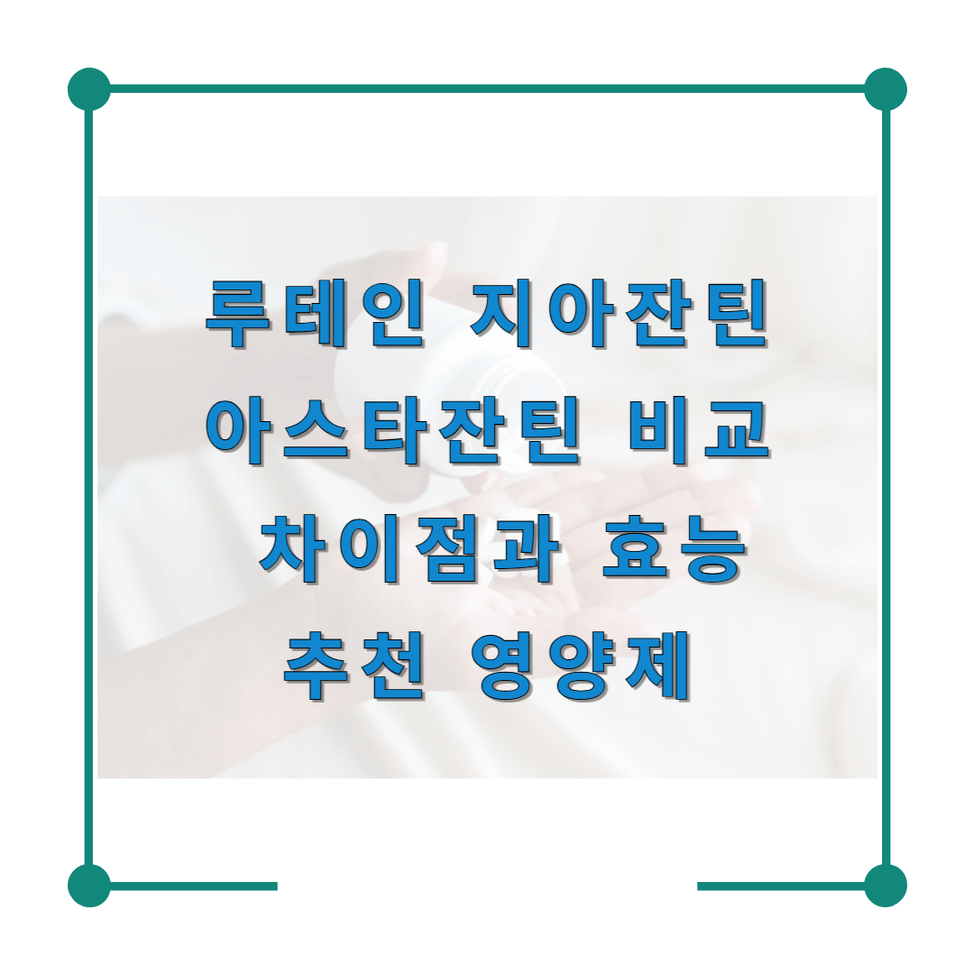 루테인 지아잔틴 아스타잔틴 비교 - 차이점과 효능과 추천 영양제