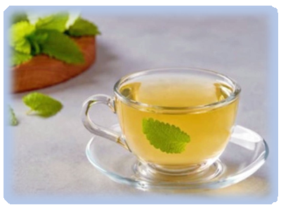 건강에 좋은 레몬밤 차 마시기