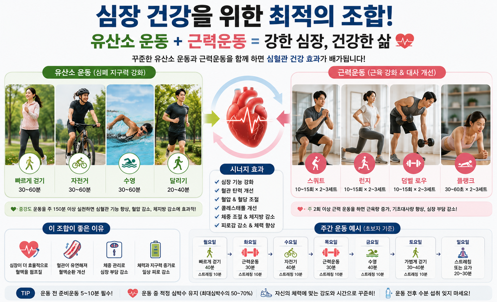 유산소 운동과 근력운동을 함께 실천했을 때 심장 건강 효과가 더 커지는 모습을 표현한 이미지.