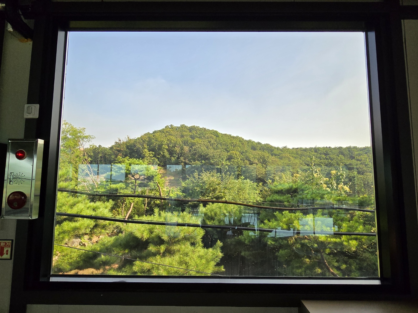 그림같은창가뷰