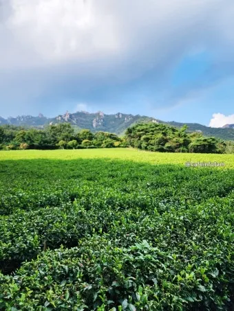 조용한 국내 1박2일 여행지 숨겨진 명소 10선_20
