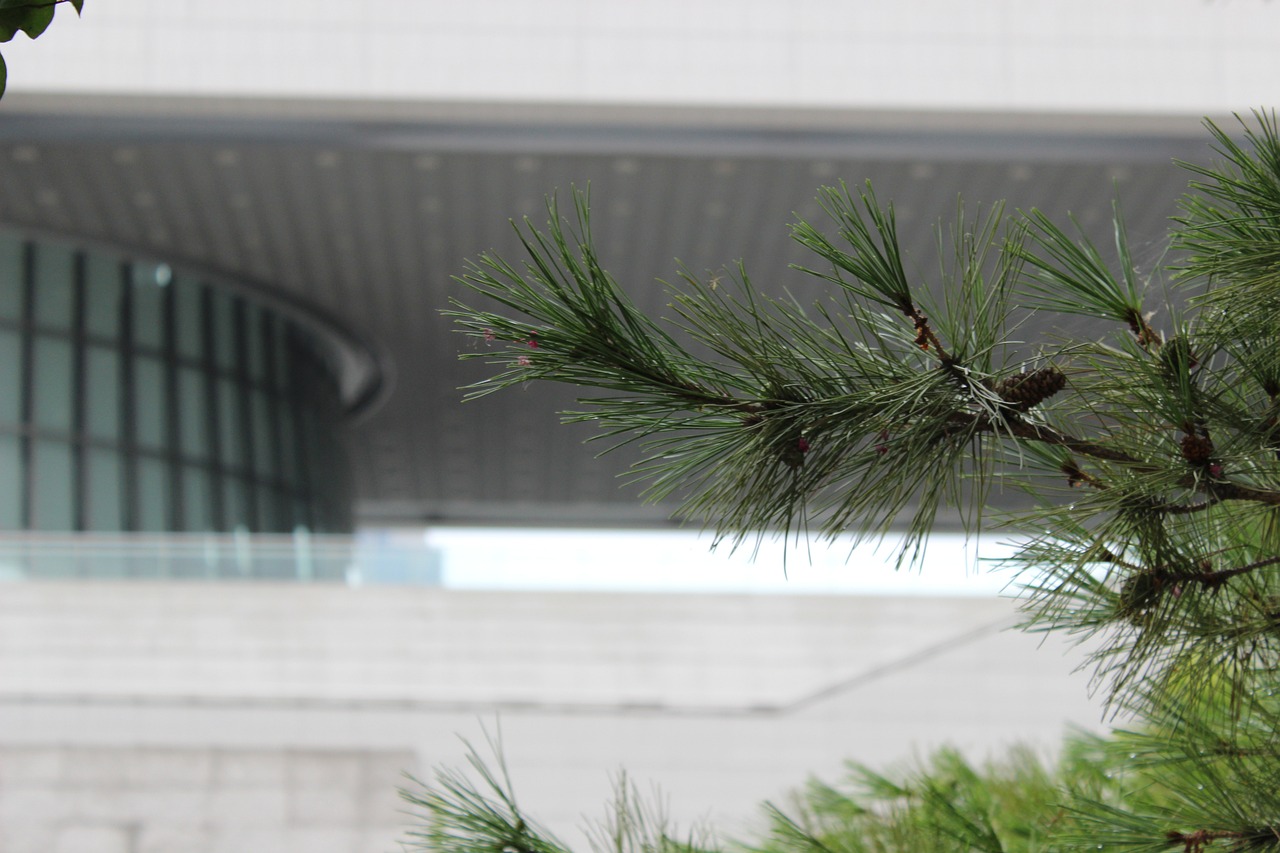 국립중앙박물과 사진