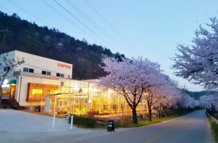 생방송오늘저녁 양평 용문산 카페 추천 자유 비행 앵무새 카페